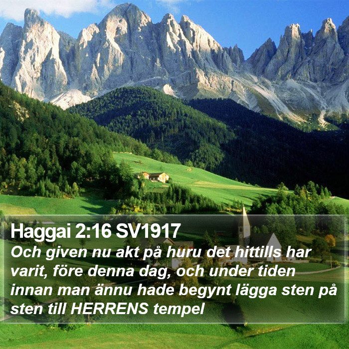 Haggai 2:16 SV1917 Bible Study