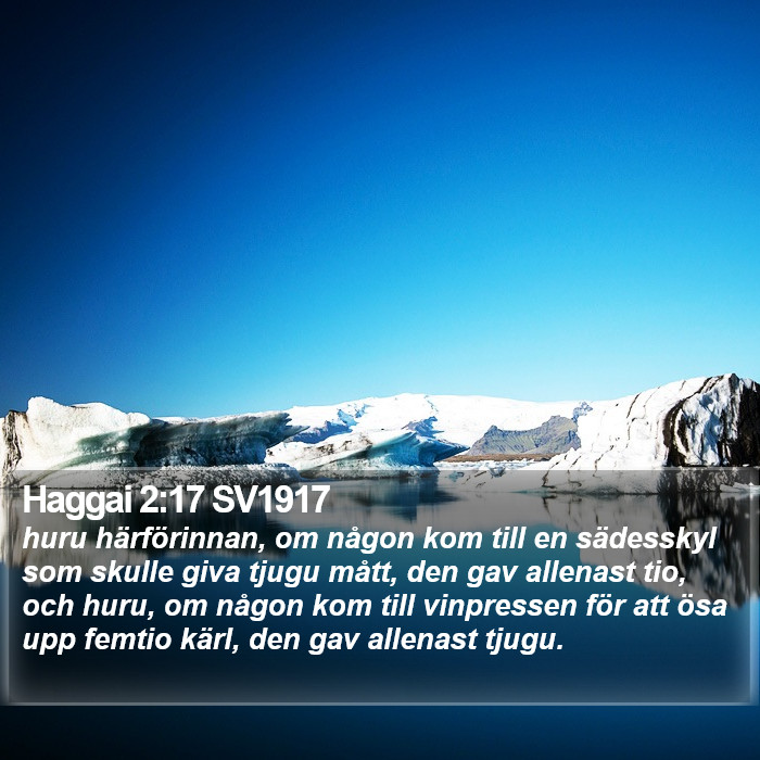 Haggai 2:17 SV1917 Bible Study