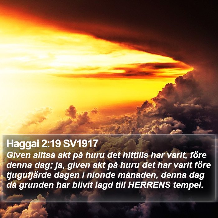 Haggai 2:19 SV1917 Bible Study