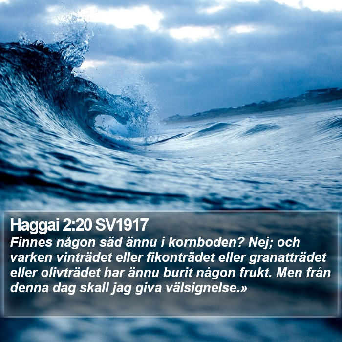 Haggai 2:20 SV1917 Bible Study