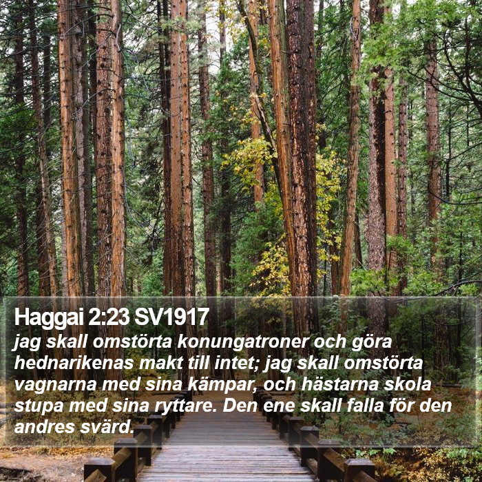 Haggai 2:23 SV1917 Bible Study