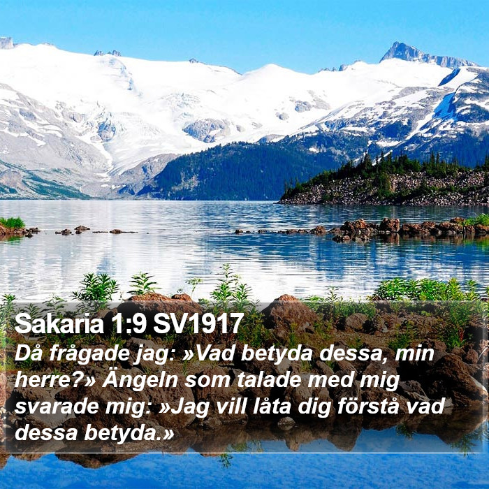 Sakaria 1:9 SV1917 Bible Study