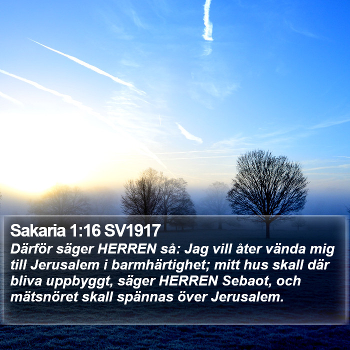 Sakaria 1:16 SV1917 Bible Study