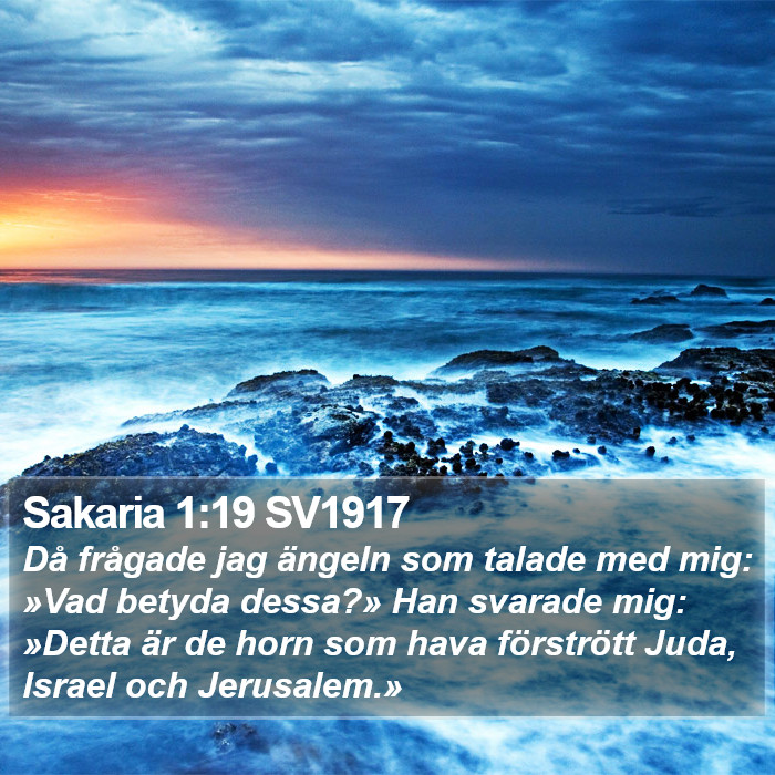 Sakaria 1:19 SV1917 Bible Study