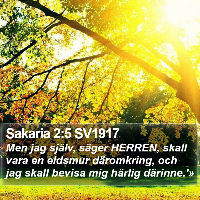 Sakaria 2:5 SV1917 Bible Study