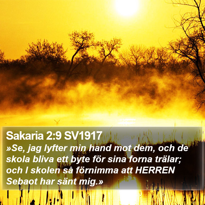 Sakaria 2:9 SV1917 Bible Study