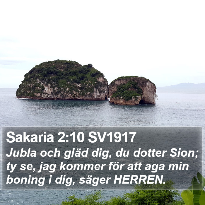 Sakaria 2:10 SV1917 Bible Study