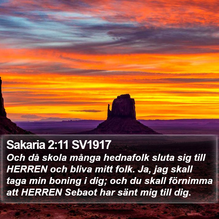 Sakaria 2:11 SV1917 Bible Study