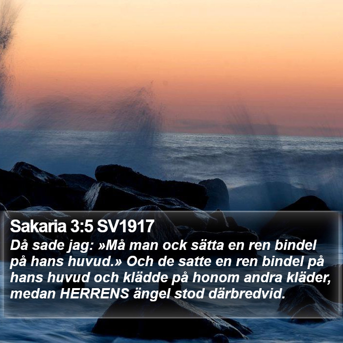 Sakaria 3:5 SV1917 Bible Study