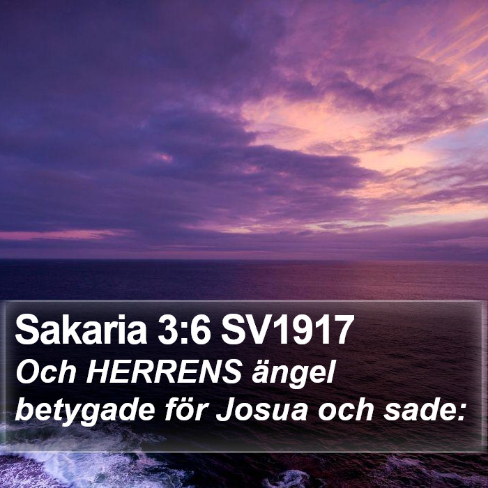Sakaria 3:6 SV1917 Bible Study