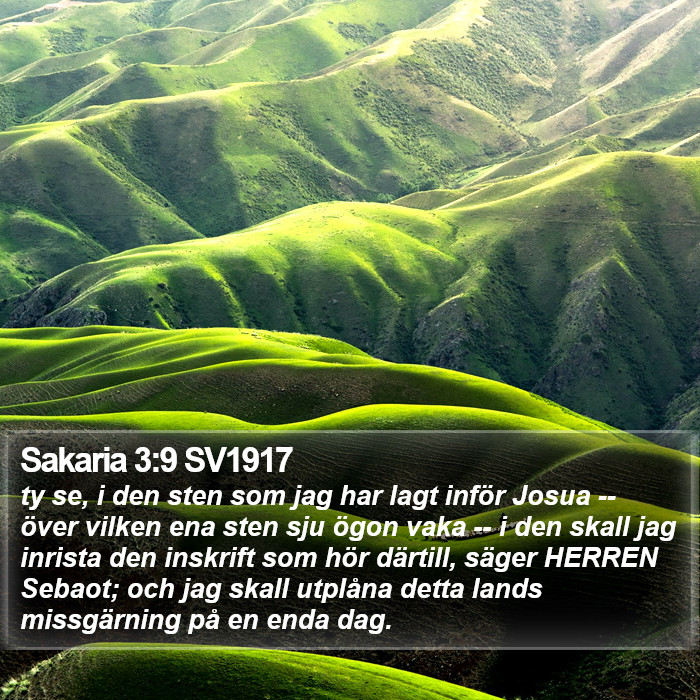 Sakaria 3:9 SV1917 Bible Study