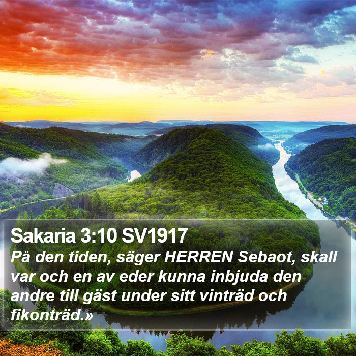 Sakaria 3:10 SV1917 Bible Study