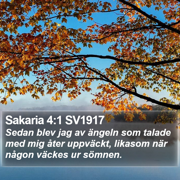 Sakaria 4:1 SV1917 Bible Study