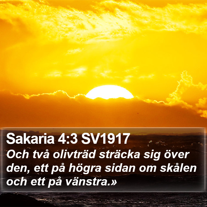 Sakaria 4:3 SV1917 Bible Study