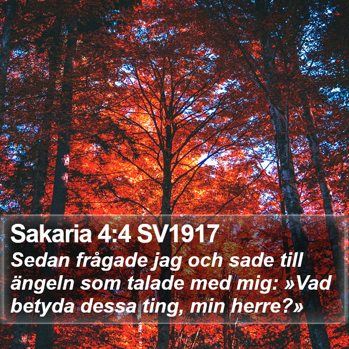 Sakaria 4:4 SV1917 Bible Study