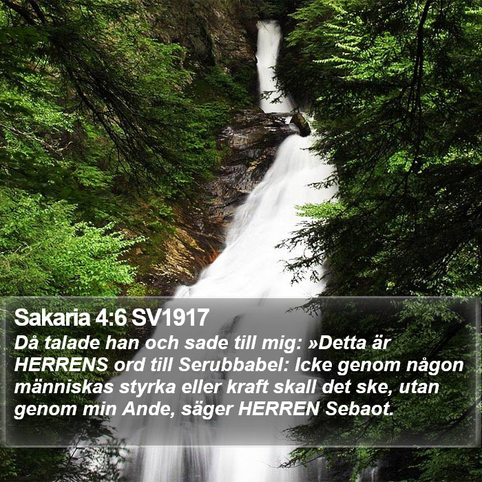 Sakaria 4:6 SV1917 Bible Study