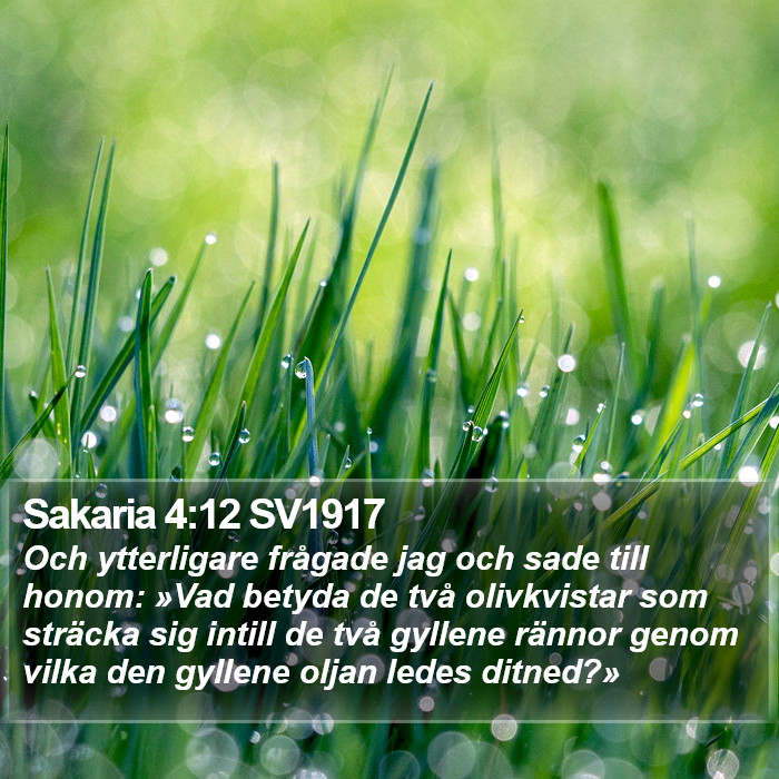 Sakaria 4:12 SV1917 Bible Study