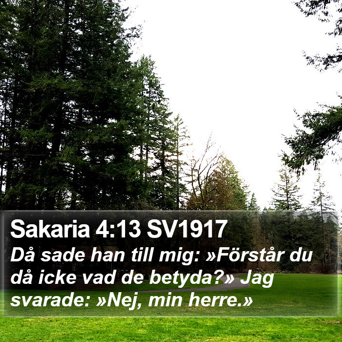 Sakaria 4:13 SV1917 Bible Study