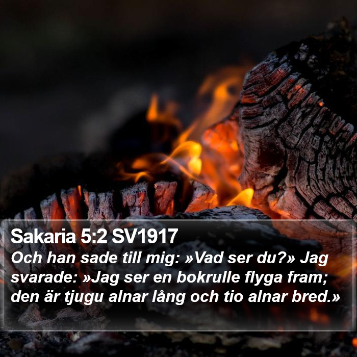 Sakaria 5:2 SV1917 Bible Study