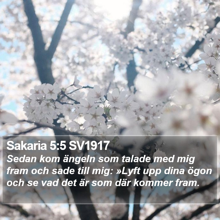 Sakaria 5:5 SV1917 Bible Study