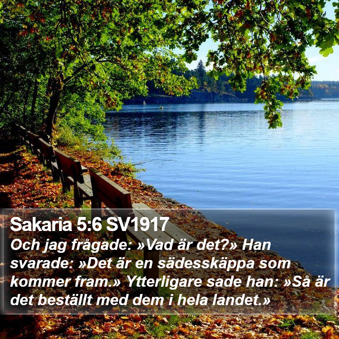 Sakaria 5:6 SV1917 Bible Study