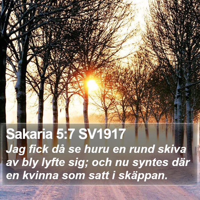 Sakaria 5:7 SV1917 Bible Study