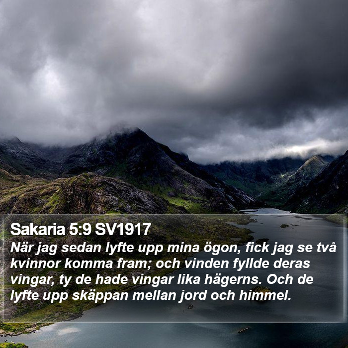 Sakaria 5:9 SV1917 Bible Study