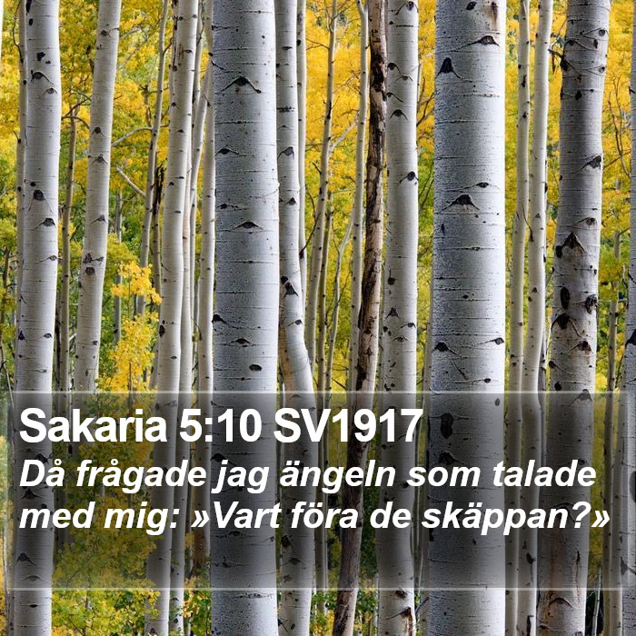 Sakaria 5:10 SV1917 Bible Study