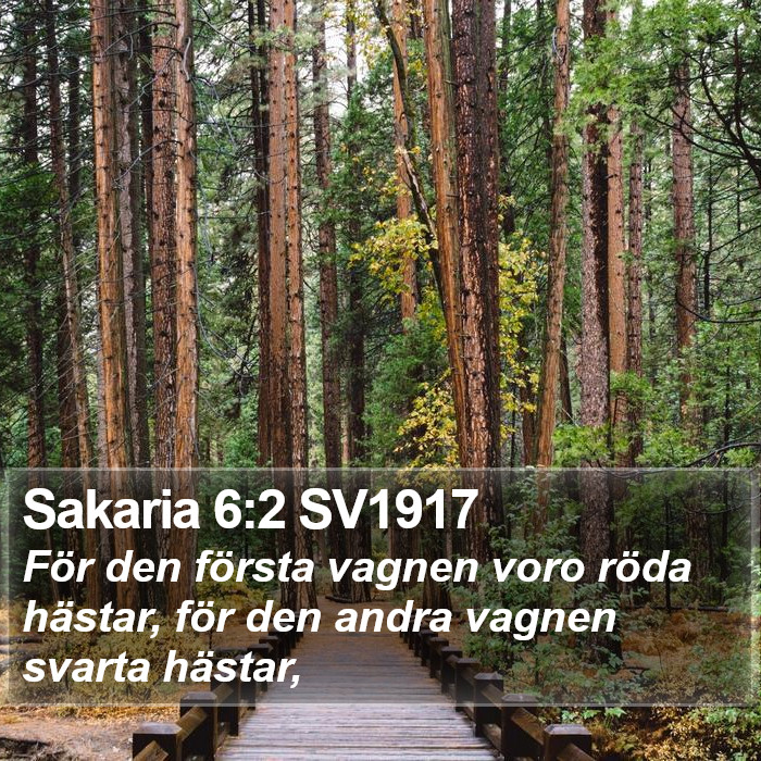 Sakaria 6:2 SV1917 Bible Study