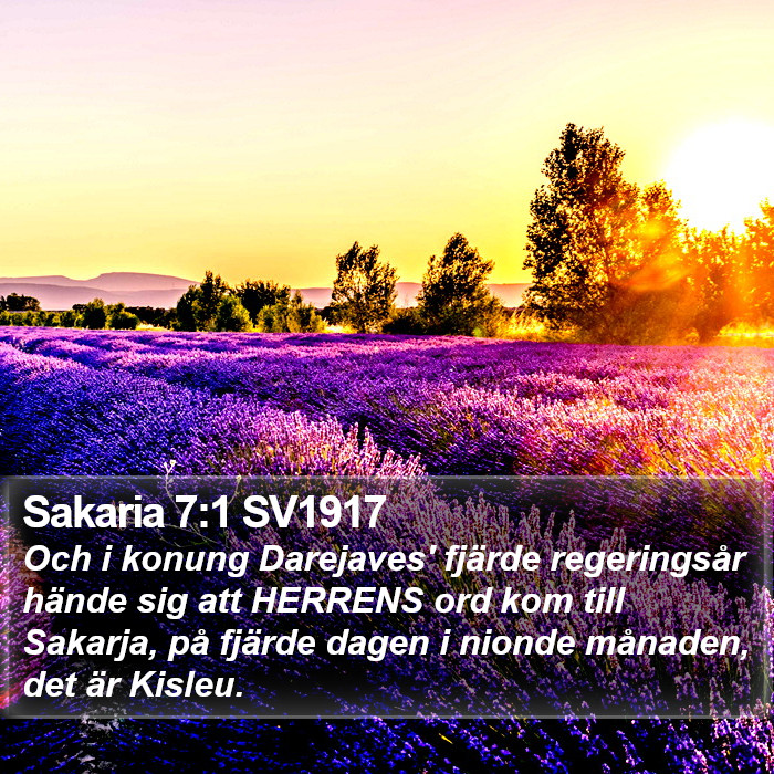 Sakaria 7:1 SV1917 Bible Study