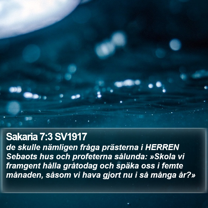 Sakaria 7:3 SV1917 Bible Study