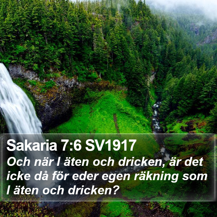 Sakaria 7:6 SV1917 Bible Study