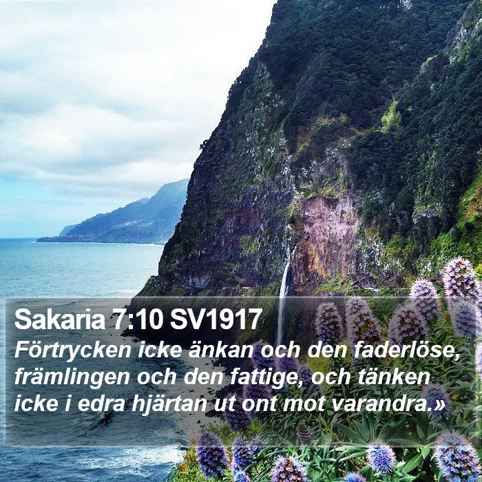 Sakaria 7:10 SV1917 Bible Study