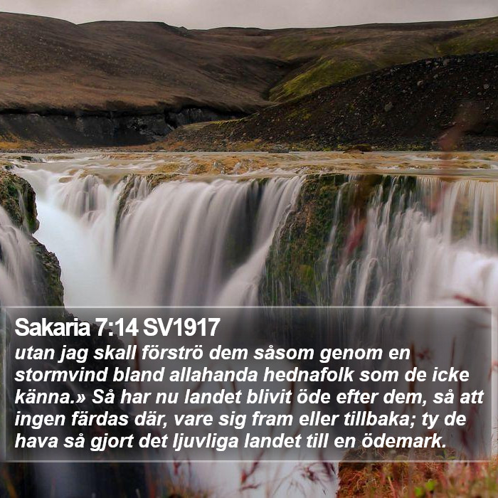 Sakaria 7:14 SV1917 Bible Study