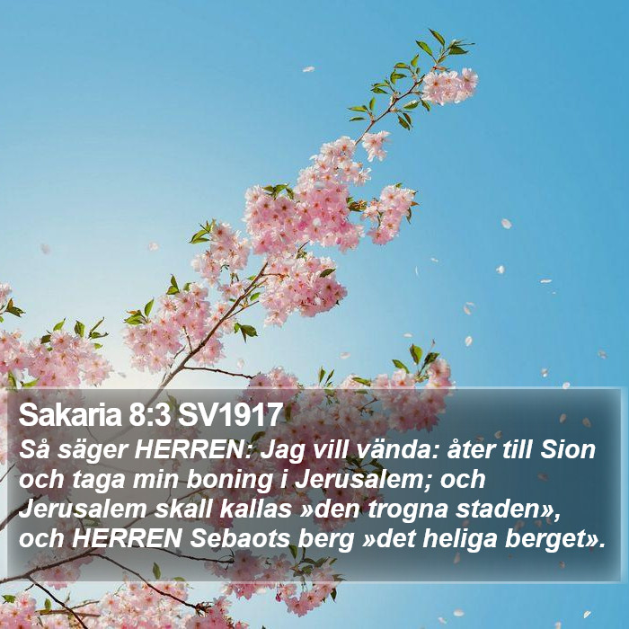 Sakaria 8:3 SV1917 Bible Study