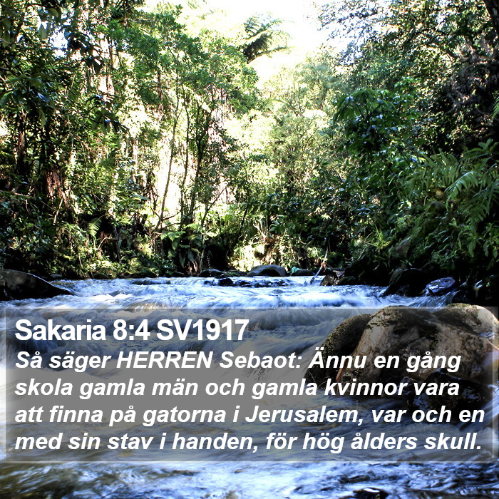 Sakaria 8:4 SV1917 Bible Study