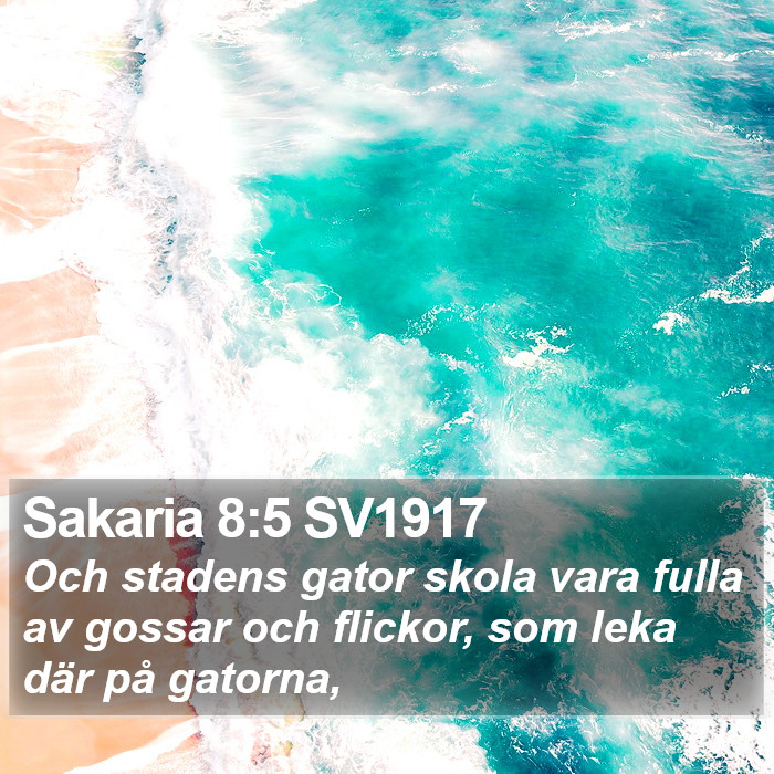 Sakaria 8:5 SV1917 Bible Study