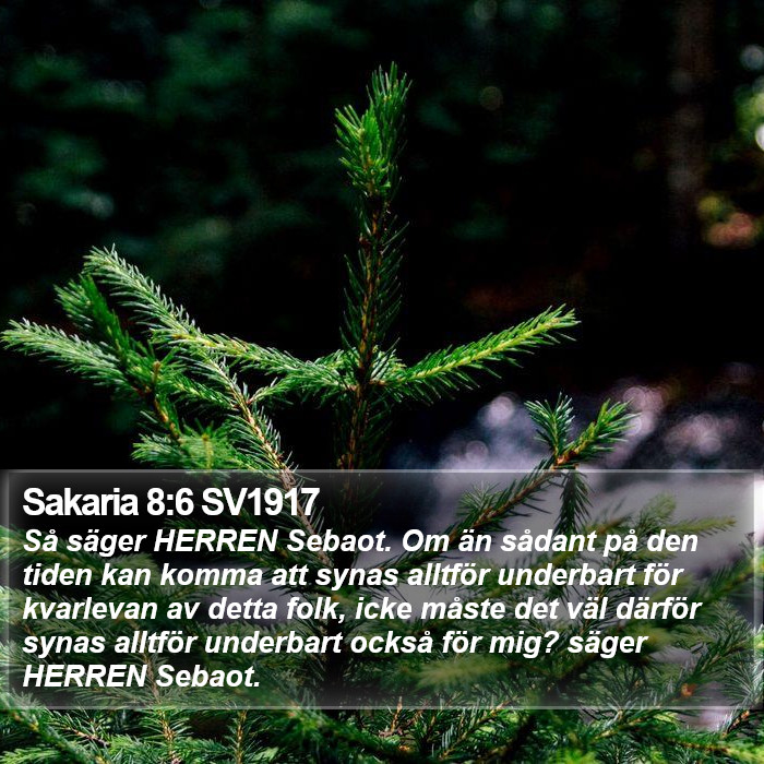 Sakaria 8:6 SV1917 Bible Study