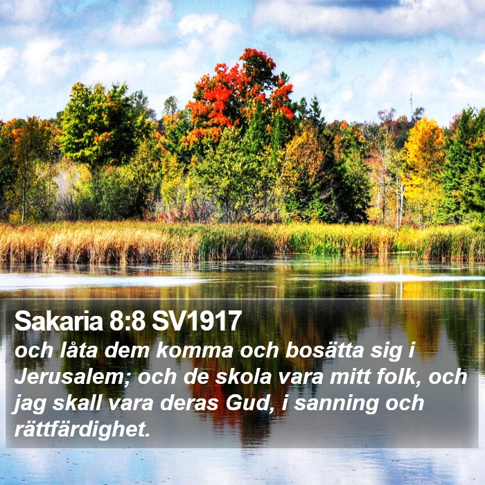 Sakaria 8:8 SV1917 Bible Study