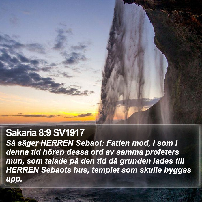 Sakaria 8:9 SV1917 Bible Study