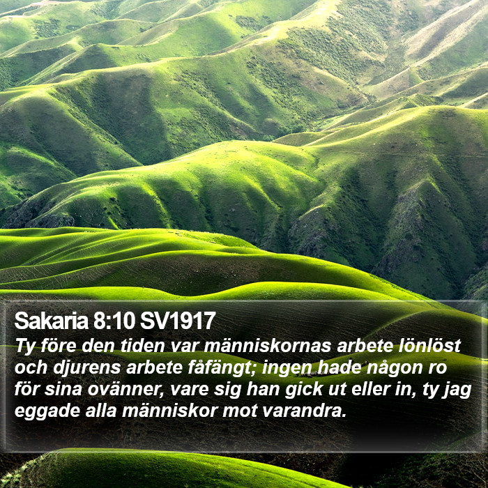 Sakaria 8:10 SV1917 Bible Study