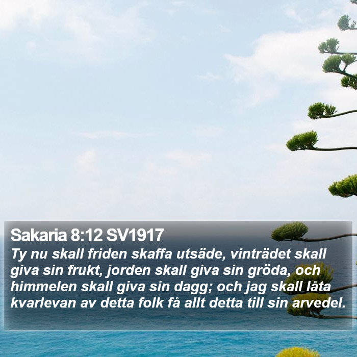 Sakaria 8:12 SV1917 Bible Study