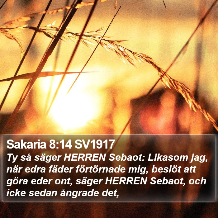 Sakaria 8:14 SV1917 Bible Study