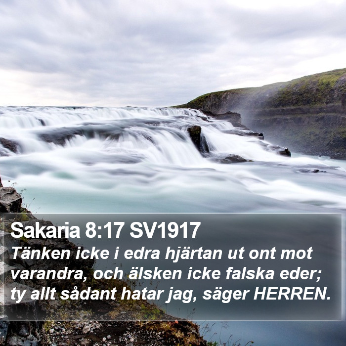 Sakaria 8:17 SV1917 Bible Study