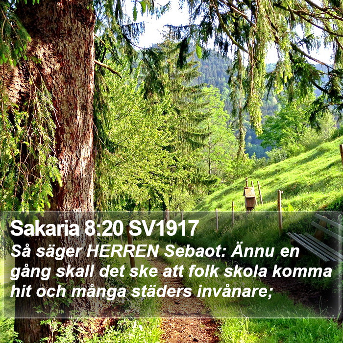 Sakaria 8:20 SV1917 Bible Study