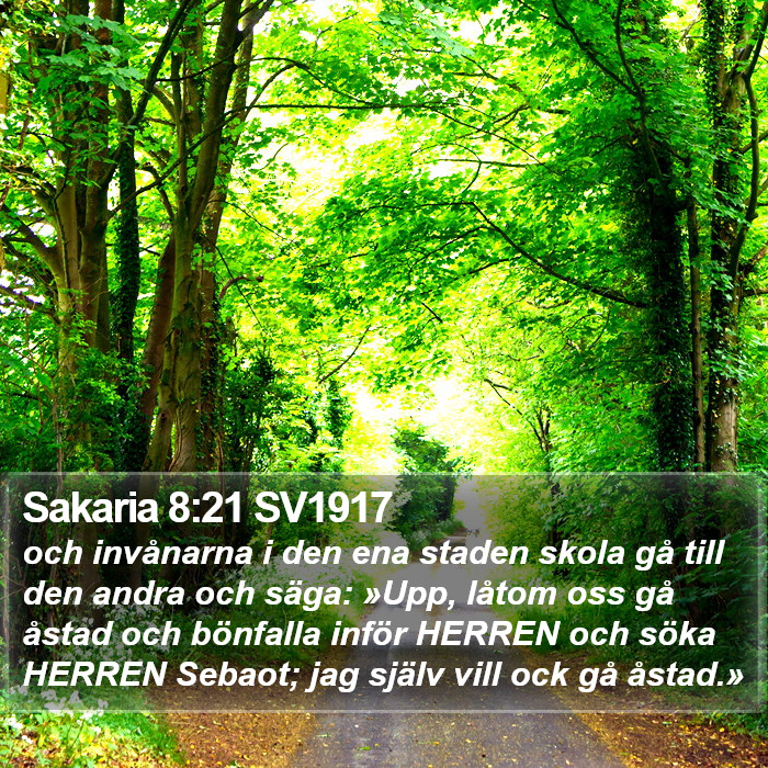 Sakaria 8:21 SV1917 Bible Study