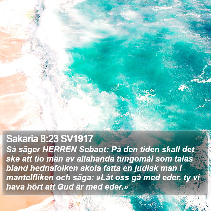 Sakaria 8:23 SV1917 Bible Study