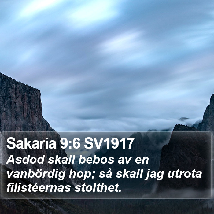 Sakaria 9:6 SV1917 Bible Study