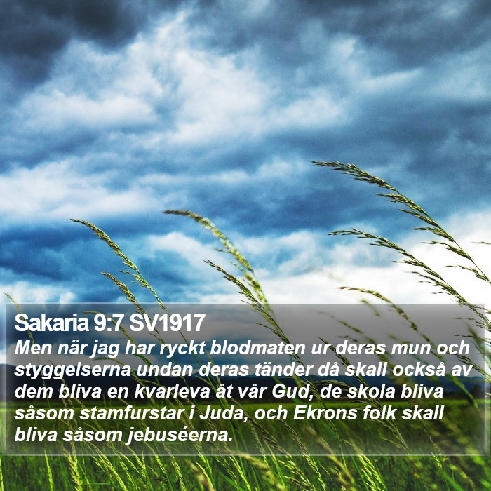 Sakaria 9:7 SV1917 Bible Study