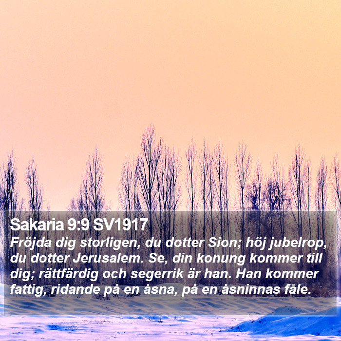 Sakaria 9:9 SV1917 Bible Study